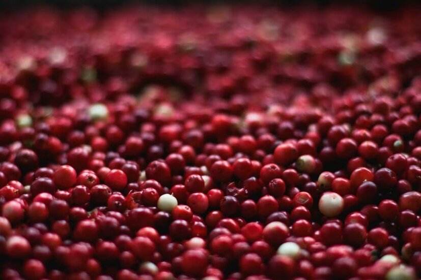 বেরি (Berries) - বেরি জাতীয় ফলগুলোও পুরুষের জন্য উপকারী। এসব ফলগুলো অ্যান্টিঅক্সিডেন্ট সমৃদ্ধ যা শরীরের শোষণ ক্ষমতা বাড়ায় এবং বিভিন্ন রোগ প্রতিরোধ করতে সাহায্য করে।