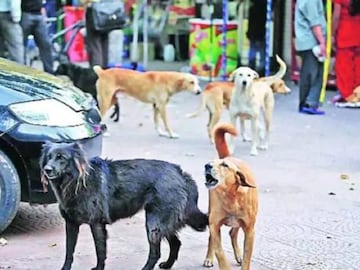 প্রতীকী ছবি। picture courtesy- PTI