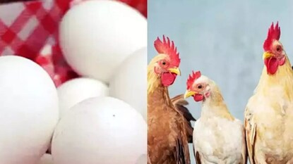 কী ঘটে গেল এমন ?
কী ঘটে গেল এমন ?