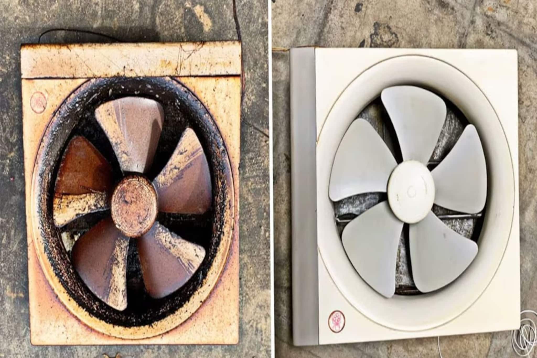 ৫ মিনিটে ঝকঝকে! তেলচিটে ময়লা এক্সজস্ট ফ্যান পরিষ্কারের দুর্দান্ত সহজ 'হ্যাক'!