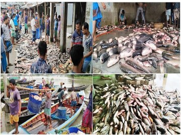 বাঙালি এত মাছ ভালবাসে, কিন্তু ভারতের সবচেয়ে বড় মাছ বাজার পশ্চিমবঙ্গেই না!তাহলে?