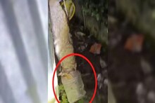 ভয়ের পরিবেশ বসিরহাটের স্বরূপনগরে, আতঙ্কে কাঁপছে স্থানীয়রা, যা ঘটছে জানলে শিউরে