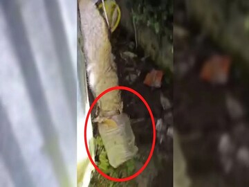 এলাকা জুড়ে নেমে এসেছে ভয়ের পরিবেশ