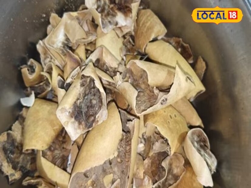  কীভাবে খাওয়া যাবে- এটি মূলত দুধ এবং জলের সঙ্গে গ্রহণ করা যায়, এটি খেলে শরীরে কোনও পার্শ্বপ্রতিক্রিয়া হয় না বলেই জানিয়েছেন ডাক্তার সরফরাজ। কিন্তু, ডাক্তারের পরামর্শ ছাড়া খাওয়া উচিত নয় বলেও জানিয়েছেন তিনি।
