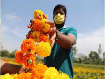 টানা বৃষ্টির জেরে আকাশছোঁয়া ফুলের দাম, গাঁদা ফুলের দাম জানলে চমকে যাবেন