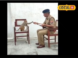 পেশায় পুলিশ, তবে কাজের ফাঁকে বানরদের সঙ্গেই সময় কাটান এই অফিসার!