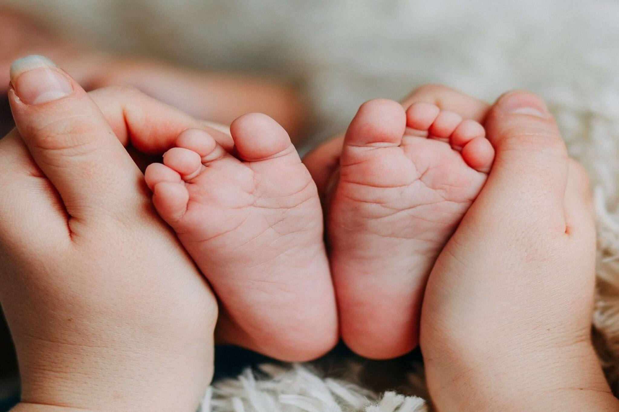 আইভিএফ-এর মাধ্যমে সন্তানের পরিকল্পনা? এই বিষয়গুলো অবশ্যই জেনে নিন