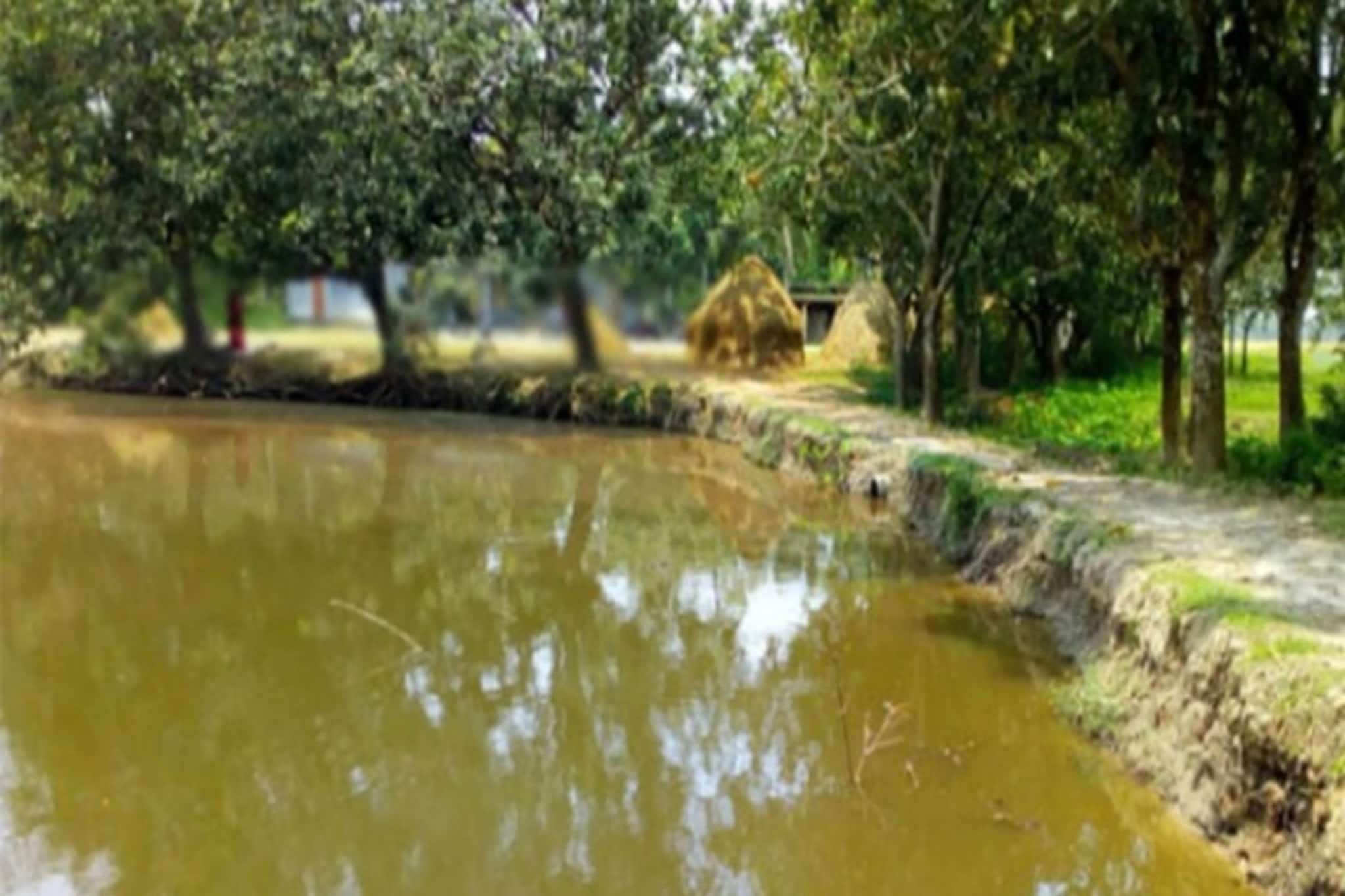 বিসর্জনের সন্ধেতে ভয়ানক ঘটনা, পুকুরে ওটা কী ভাসছে! ভয়ে শিউরে উঠল আলিপুরদুয়ার