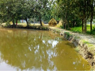 উদ্ধার যুবকের মৃতদেহ