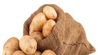 সারের কালোবাজারি রুখতে পদক্ষেপ নবান্নের