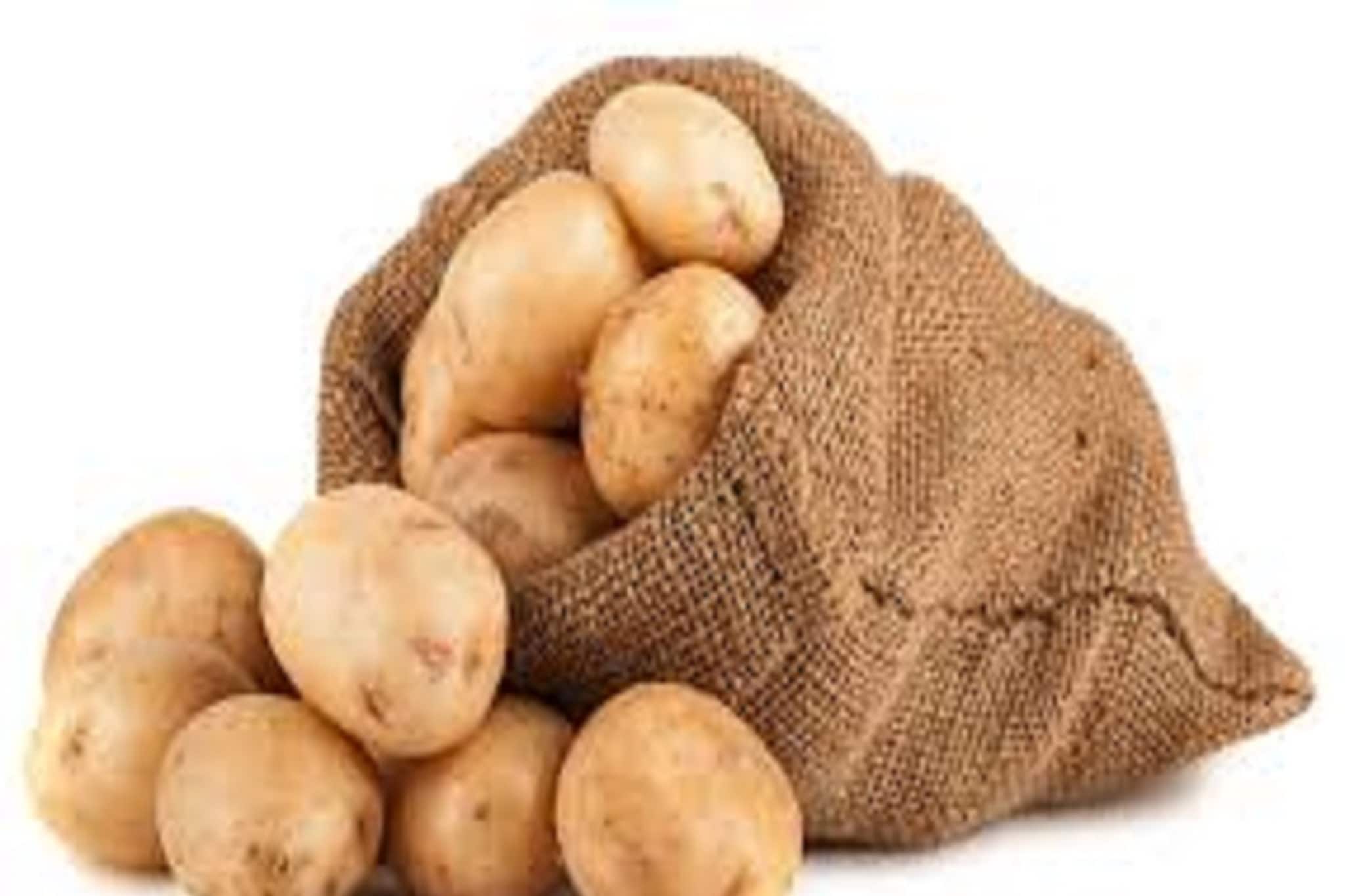 বড় খবর! আলুর সারের কালোবাজারি রুখতে বড় পদক্ষেপ নবান্নের