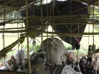সবচেয়ে বড় দুর্গা!