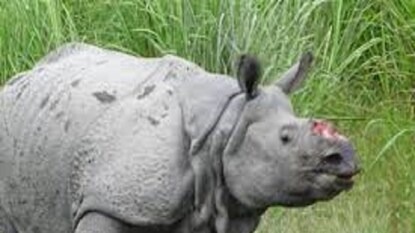 প্রতীকী ছবি প্রতীকী ছবি