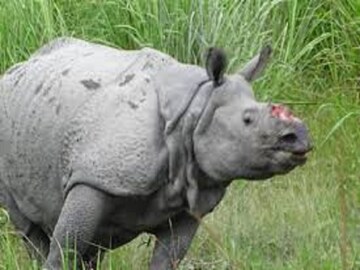প্রতীকী ছবি