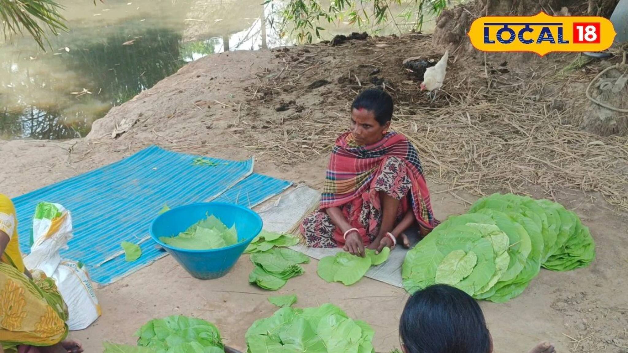জঙ্গলকে ভরসা করে স্বনির্ভর হওয়ার চেষ্টায় আদিবাসী মহিলারা, বাড়ছে ব্যবসা
