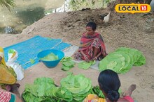 জঙ্গলকে ভরসা করে স্বনির্ভর হওয়ার চেষ্টায় আদিবাসী মহিলারা, বাড়ছে ব্যবসা