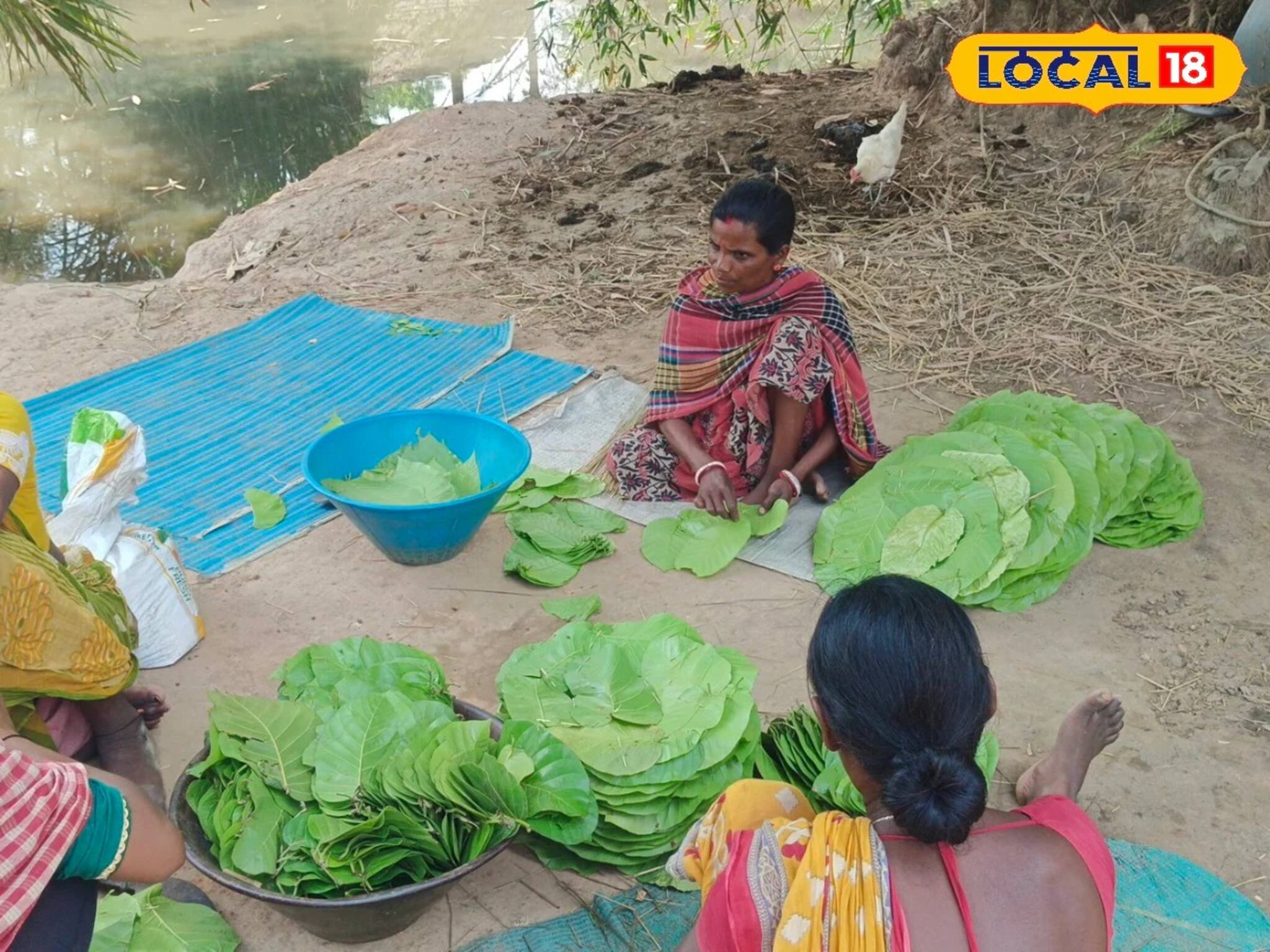 জঙ্গলকে ভরসা করে স্বনির্ভর হওয়ার চেষ্টায় আদিবাসী মহিলারা, বাড়ছে ব্যবসা