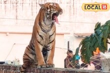 বাড়ছে বন্য পশুদের অত্যাচার, ঘুম উড়ছে গ্রামবাসীদের! কারণ জানালেন বিশেষজ্ঞ