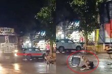 মাঝরাস্তায় বসে আছেন ব্যক্তি, দূর থেকে ধেয়ে এল ট্রাক! তারপর যা ঘটল! রইল ভিডিও