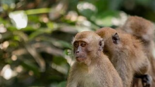 প্রতীকী ছবি