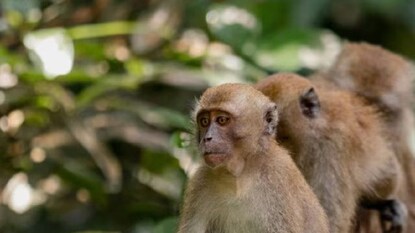 প্রতীকী ছবি প্রতীকী ছবি