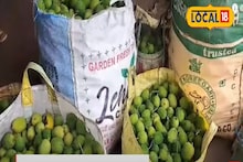 বাজারে সবজির আমদানি কম, পুজোতে কী বাড়বে দাম?