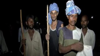 নেকড়ে ধরতে অভিনব পন্থা উত্তরপ্রদেশ বন দফতরের