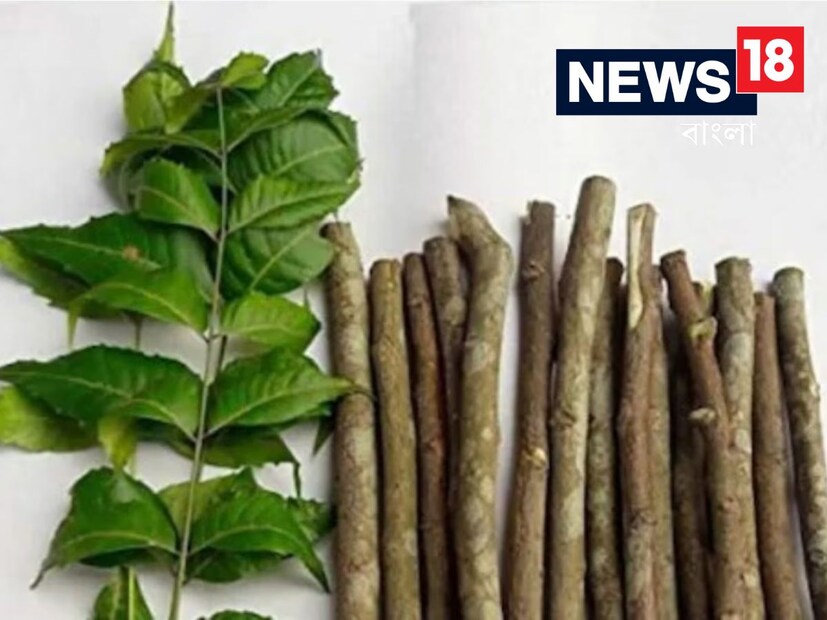 শুধু দাঁত নয়৷ এমন অনেকে আছেন যারা দাঁতের গর্ত বা দাঁতের মাড়ির সমস্যাতেও দীর্ঘদিন ধরে ভুগছেন৷ নিম পাতার ক্রমাগত ব্যবহারে দাঁত ও মাড়ির রোগ সেরে যায়।