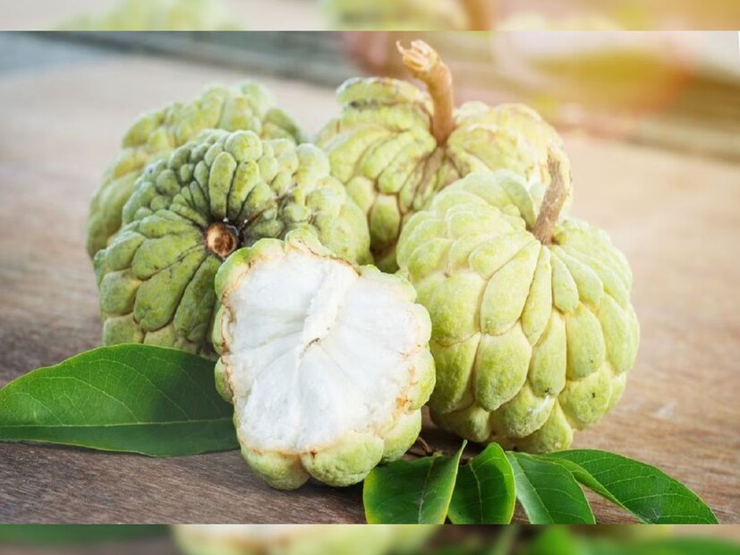 অ্যানোনাসিন নামক টক্সিন থাকায় এটি নার্ভের সমস্যা সৃষ্টি করে। যারা নার্ভের সমস‍্যায় ভুগছেন ওষুধ খান তারা এই ফলটি খেলে তাদের রক্তচাপ হঠাৎ করে কমে যেতে পারে। কারও কারও আবার চোখ লাল হয়ে জলও পড়তে পারে।