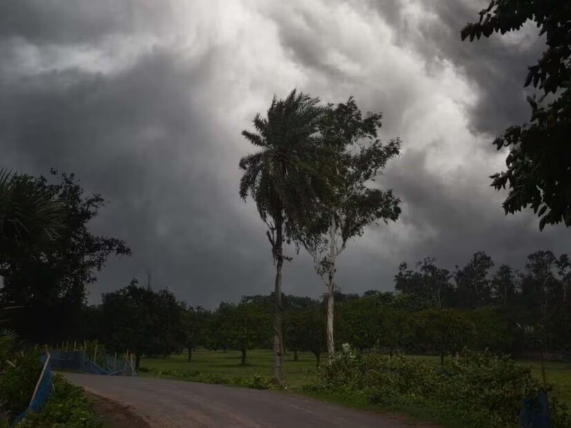 হাওয়া অফিসে রিপোর্টে জানা যায় বৃহস্পতিবার ঘূর্ণিঝড় ওড়িশার পারাদ্বীপ ও পশ্চিমবঙ্গের সাগরের মধ্যবর্তী কোনও স্থানে ল্যান্ডফল করবে। ল্যান্ডফল করার সময় ঘূর্ণিঝড় ‘ডানা’-র রূপ থাকবে সিভিআর সাইক্লোনিক স্টর্ম। অর্থাৎ শক্তিশালী ঘূর্ণিঝড়।