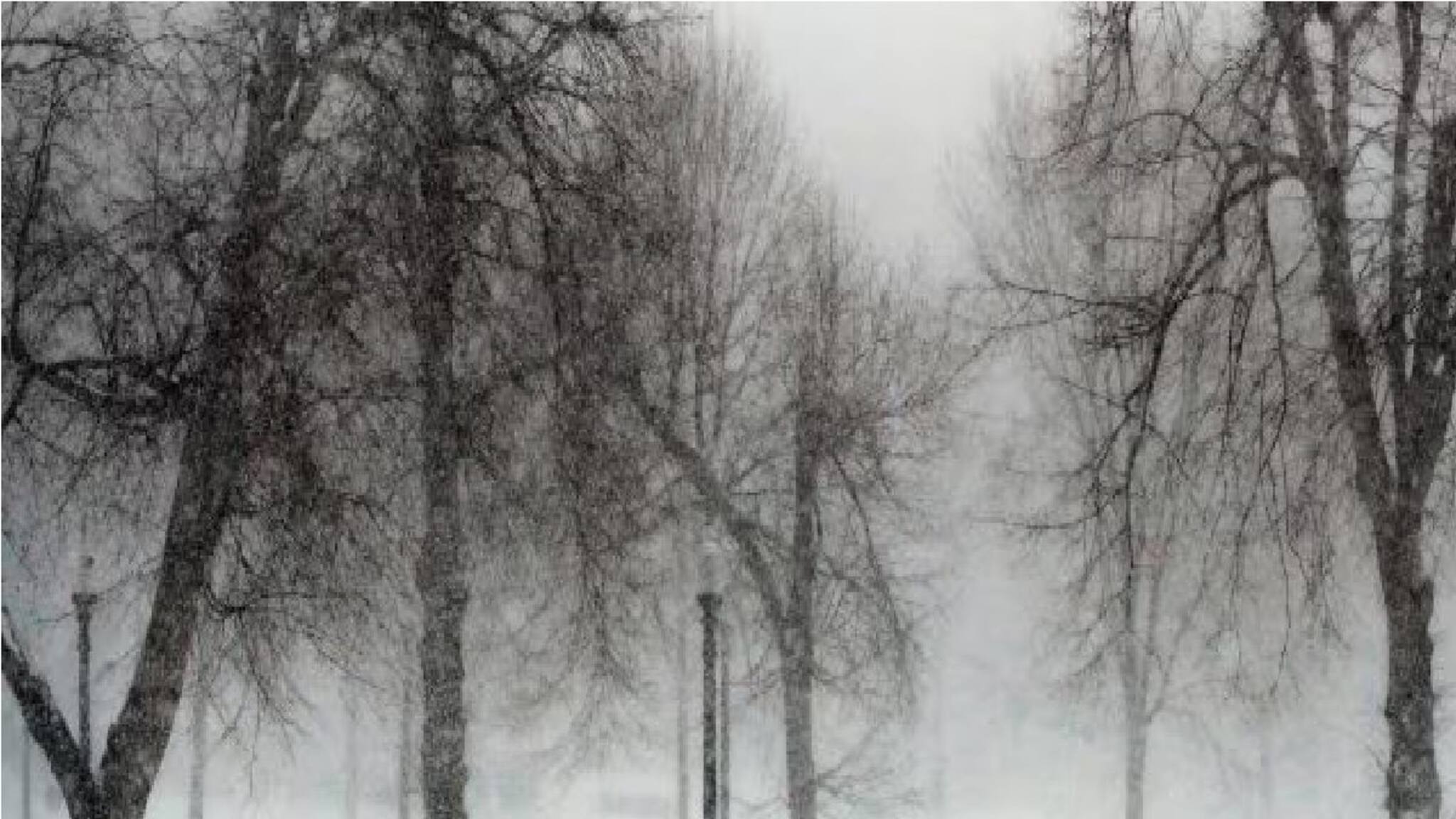 Winter just after Cyclone Dana: সাইক্লোনের ছোবল মিটলেই বাংলার দরজায় হানা শীতের, লা নিনার মায়ায় কালীপুজোর আগেই ঠান্ডার কুল এফেক্ট