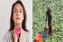 থাইরয়েড কাঁটা শরীর থেকে উপড়ে ফেলে রামবাণ,সারা বছরে মাত্র ১মাস মেলে জল ভরা ওষুধ