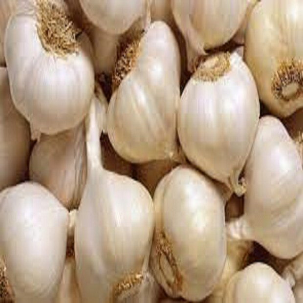 রসুনে পরিপাক ক্রিয়া বা পাচন ক্রিয়া শুধরে দেয় ৷ একই সঙ্গে কোষ্ঠ কাঠিন্যের হাত থেকেও শরীরকে রক্ষা করে ৷ প্রতীকী ছবি ৷