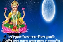 লক্ষ্মীপুজোয় নিবেদন করুন বিশেষ ফুলগুলি , দেবীর কৃপায় সংসারে অভাব আসবে না কোনওদিন