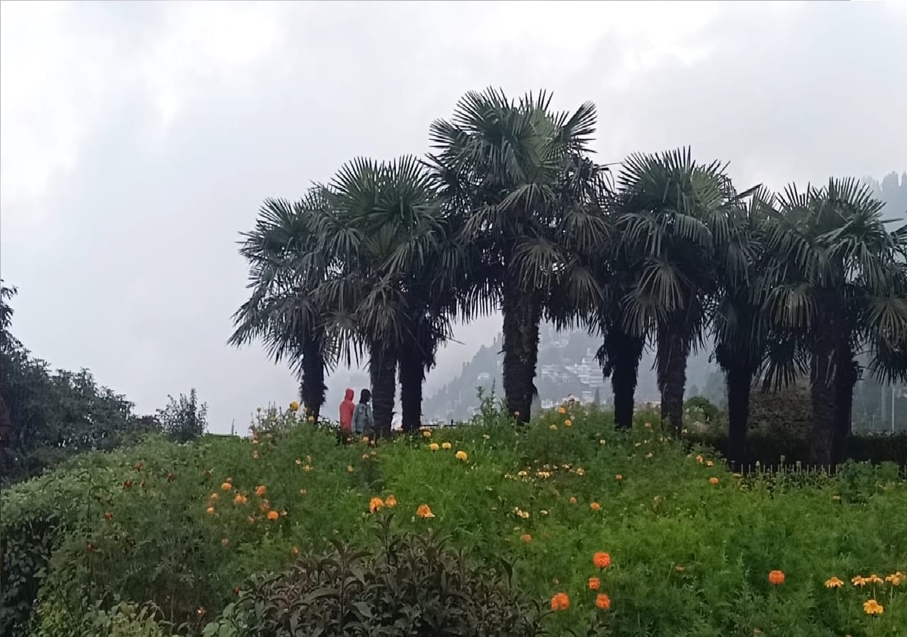 আকাশ পরিষ্কার না থাকায় দেখা নেই ঘুমন্ত বুদ্ধা অর্থাৎ কাঞ্চনজঙ্ঘার। স্বাভাবিকভাবেই মন খারাপ পর্যটকদের। 