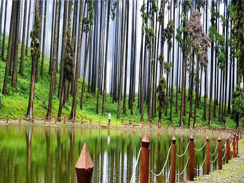 পুলিশ সূত্রে খবর, স্পট ঘুরে নীচে নামার সময় আচমকাই অসুস্থ হয়ে পড়েন তিনি। সেখান থেকে স্থানীয়দের চেষ্টায় দার্জিলিং সদর হাসপাতালে ভর্তি করা হয় তাঁকে। 