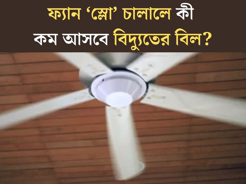 ঘন ঘন মুড বদলাচ্ছে আবহাওয়া। ভ‍্যাপসা গরম খানিকটা বিদায় নিয়েছে। ভোরের দিকে মিলছে হালকা শীতের আমেজ। ফুল স্পিডে অর্থাত্‍ ঝড়ের গতিতে ফ‍্যান না চালিয়ে অনেকেই আস্তে চালাচ্ছেন ফ‍্যান। 