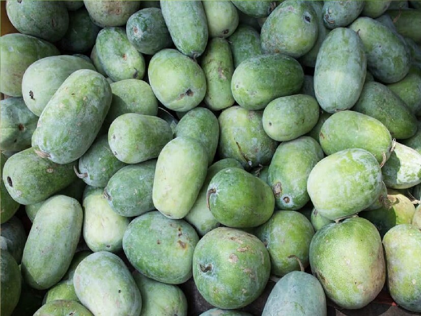 চাল কুমড়ো তরকারি হিসেবে খাওয়া ছাড়াও মোরব্বা, হালুয়া, পায়েস ও কুমড়ো বড়ি তৈরি করে খাওয়া যায়। শুধু চাল কুমড়োই নয় এর কচি পাতা ও ডগা শাক হিসেবে খাওয়া যায়।