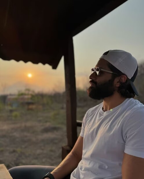 নাগা চৈতন্যর সব ছবিকেই ফ্লপ বলা যাবে না। বেশ কিছু ছবি রীতিমতো ব্যবসা সফল। ছবি তৈরির টাকাই শুধু উঠে আসেনি, রীতিমতো লাভও করেছেন প্রযোজকরা। কিন্তু কোথাও যেন সেলেব্রিটি স্টার সুলভ পারদর্শীতার অভাব রয়েছে তাঁর। একার দক্ষতায় কোনও ছবিকে টেনে নিয়ে যাওয়ার মতো কুশলী অভিনেতা তিনি নন।