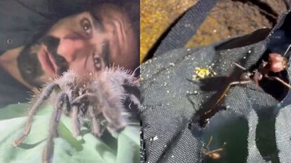 অ্যামাজনের জঙ্গলে ভয়াবহ অভিজ্ঞতা পলের (Photo: Instagram/paulrosolie) অ্যামাজনের জঙ্গলে ভয়াবহ অভিজ্ঞতা পলের (Photo: Instagram/paulrosolie)