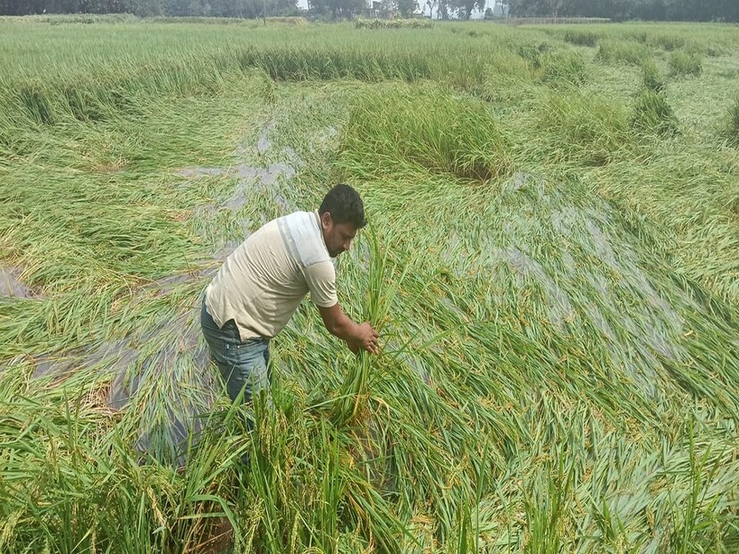 বেতুলের এসপি নিসচল ঝরিয়া বলেছেন, 'বেতুল জেলার আথনার থানা একটি আন্তঃরাজ্য গ্যাংকে ফাঁস করেছে যারা জালিয়াতি করে নিরীহ কৃষক ও গ্রামবাসীদের কৃষি সরঞ্জাম তাদের কাছে রাখে এবং বিক্রি করে। ঘটনাটি নিম্নরূপ। একজন কৃষক আবেদন করেছিলেন যে তাঁর ট্রাক্টর জোর করে নিয়ে রাখা হয়েছে। ফেরত দিচ্ছে না। বারবার মিথ্যা কথা বলে প্রতারণা করা হচ্ছে বলেও অভিযোগ। কখনও বলে ট্রাক্টর চুরি হয়েছে, কখনও বলে অন্য কিছু। তদন্তে তিনজনকে আটক করা হয়েছে। তিন আসামি জালিয়াতি করে কৃষকদের কাছ থেকে কৃষি যন্ত্রপাতি নিয়ে আসত এবং পরে তা ফেরত দিত না। তদন্ত এখন চলছে।' 