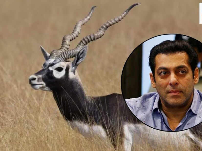 বলিউডের ‘দাবাং’ অভিনেতা সলমন খান। তিনি কিছু বললে বা করলেই খবর হয়। তবে এবার তাঁর খবরে থাকার কারণটা অন্য। জেল থেকে আবারও সলমন খানকে খুনের হুমকি দিয়েছেন গ্যাংস্টার লরেন্স বিষ্ণোই। বিষয়টিকে যথেষ্ট গুরুতর বলে মনে করছে পুলিশ।