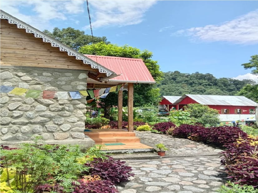 *বালাসনের ধার বরাবর ট্রেকিংয়েরও ব্যবস্থা রয়েছে। কম উচ্চতার ট্রেকিং, সার্ভাইভাল ক্যাম্প, নেচার ক্যাম্পেরও সুযোগ রয়েছে। তাই একটু পাহাড়ের কোলে অ্যাডভেঞ্চার এক্টিভিটি করতে আপনার ঠিকানা হতে পারে এই গ্রাম। ফাইল ছবি।