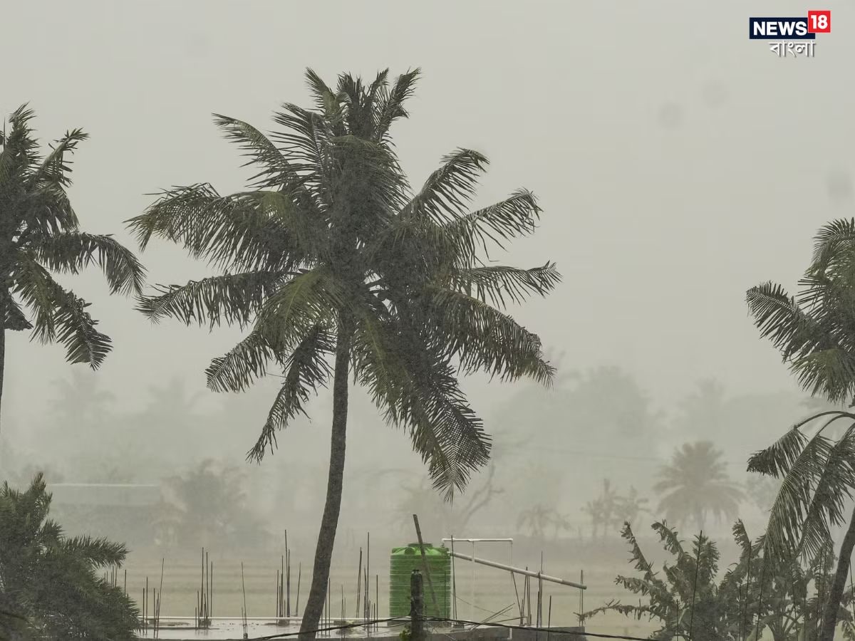 'ল্যান্ডফল' প্রক্রিয়া শুরু হওয়ার পর থেকেই ঝড়ের দাপট আরও বেড়ে গিয়েছে ওড়িশায়। ঝড়বৃষ্টি হচ্ছে পশ্চিমবঙ্গের উপকূলেও । কিন্তু, রাত পর্যন্ত কলকাতায় দানার তেমন কোনও প্রভাব দেখা যায়নি। প্রতীকী ছবি