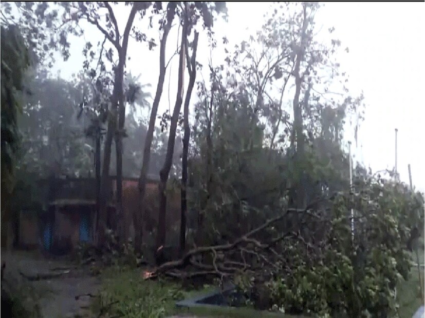 ওড়িশার পুরনো বাসিন্দারা বলছেন, ১৯৯৯ সালে যখন ভিতরকণিকার কাছেই জগৎসিংহপুরে সুপার সাইক্লোন আছড়ে পড়েছিল, তখন প্রায় ১০০০ মানুষের মৃত্যু হলেও ম্যানগ্রোভের জঙ্গলের কারণেই ভিতরকণিকা জাতীয় উদ্যানে ক্ষয়ক্ষতি অনেক কম হয়েছিল৷ 