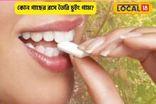 কচকচ করে চিবিয়ে খান!কোন গাছের জমা রস দিয়ে তৈরি চুইং গাম?৯৯শতাংশ মানুষ জানেন না