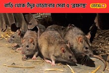 পাই পাই করে পালাবে 'নেংটি'! ৫ ব্রহ্মাস্ত্রে বাড়ি ধার কাছে ঘেঁষতে পারবে না ইঁদুর