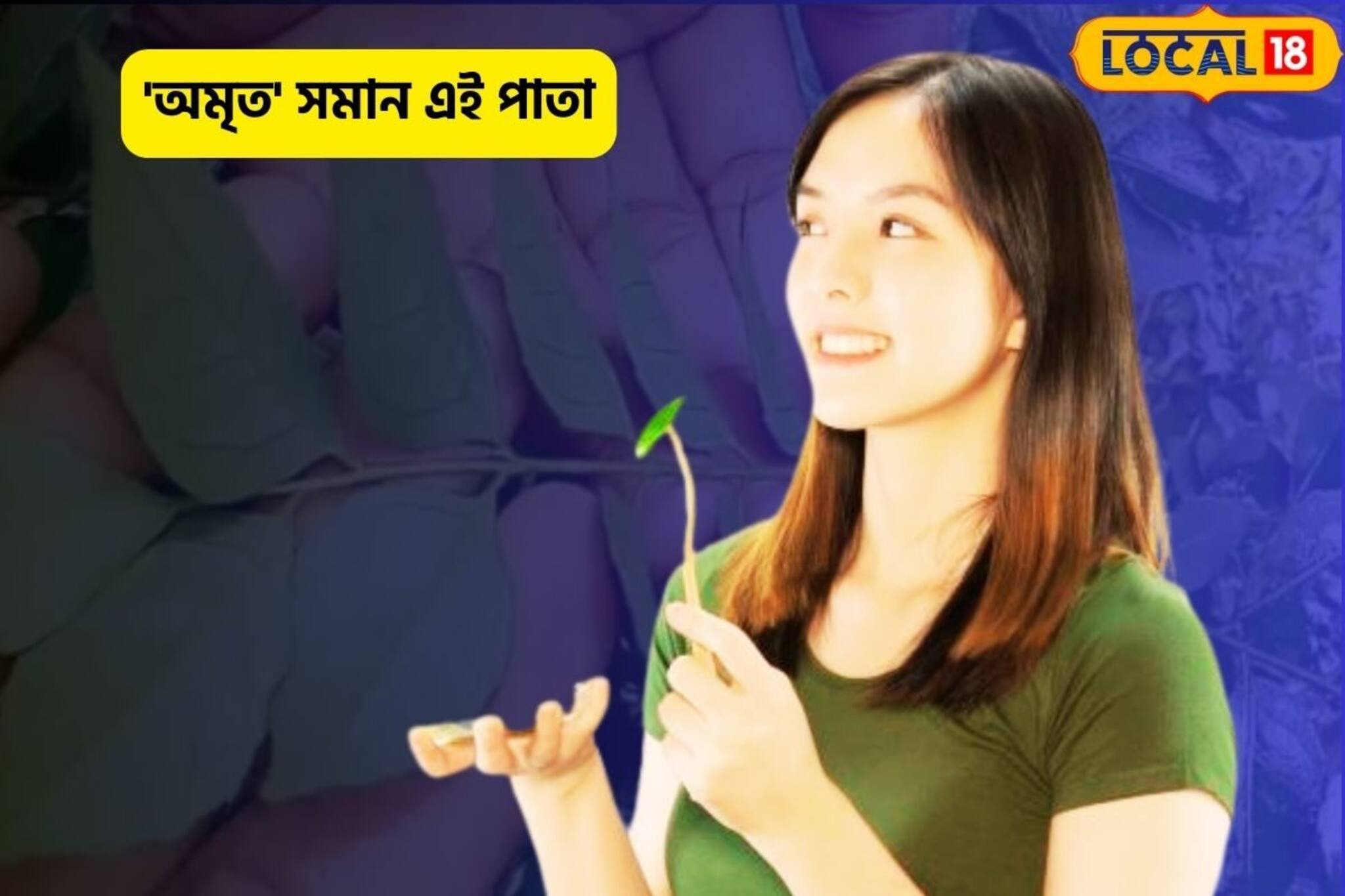 আগাছা ভেবে ভুল নয়,কচি সবুজ এই পাতা 'অমৃত',পুষ্টির সিন্দুক-ভিটামিনের ভাণ্ডার