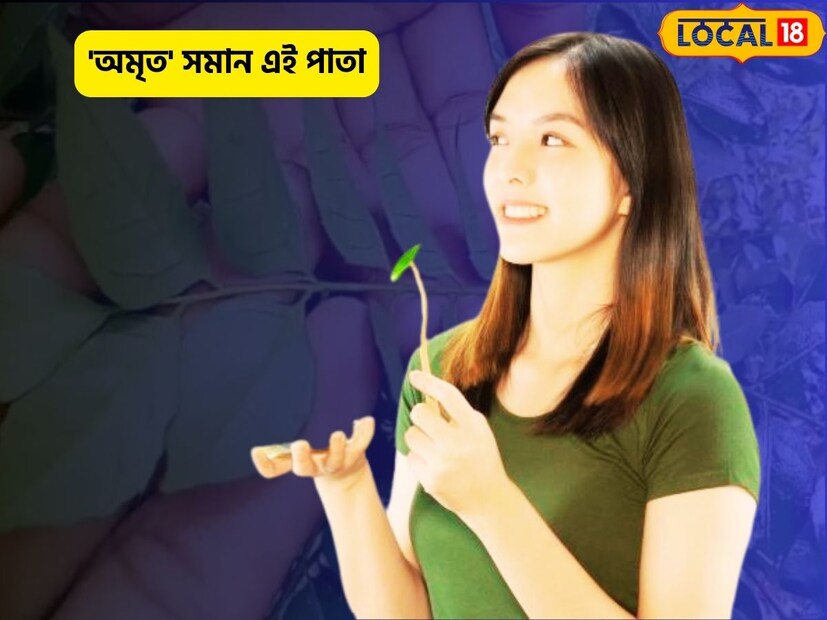 আগাছা ভাবছেন? অত্যন্ত ভুল৷ এতেই রয়েছে বিরাট গুণ৷ পুষ্টি ভরপুর, ভিটামিনেও ভরপুর এই পাতা৷ 