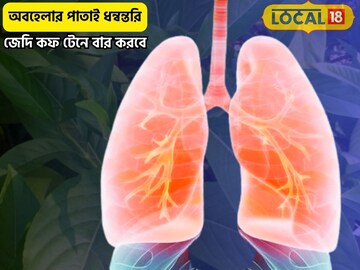 অবহেলার এই পাতা ধন্বন্তরি!বুকে জমা জেদি শ্লেষ্মা উপড়ে ফেলবে,কমাবে বাতের ব্যথাও